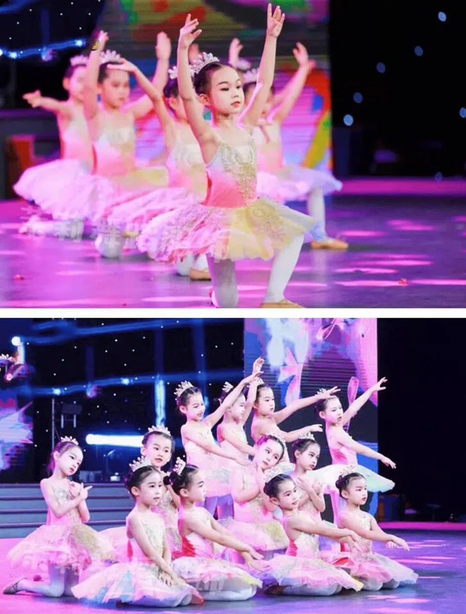Tutú de Ballet Profesional Camisola Falda Tutú Vestido de Bailarina para Fiestas Y Competiciones Disfraz de Ballet para Niñas del Lago de Los Cisnes Ropa de Entrenamiento Diario.