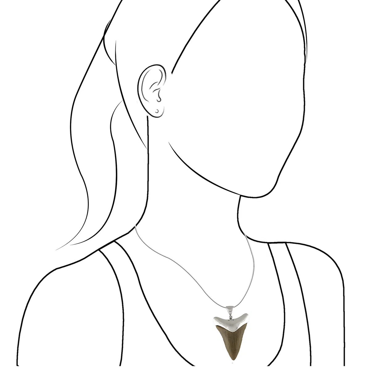 Starborn Colgante Fossil Shark Tooth Cap Set en plata de ley