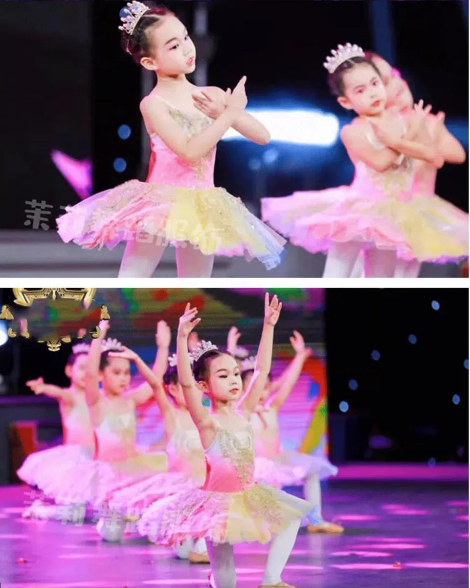 Tutú de Ballet Profesional Camisola Falda Tutú Vestido de Bailarina para Fiestas Y Competiciones Disfraz de Ballet para Niñas del Lago de Los Cisnes Ropa de Entrenamiento Diario.