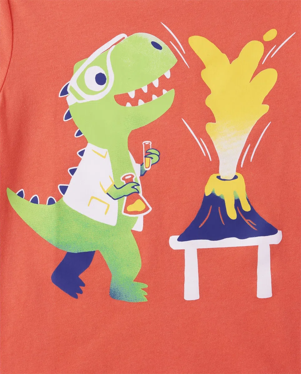 The Children's Place Camisetas unisex de manga corta con estampado de dinosaurios, animales, coches, 2 unidades