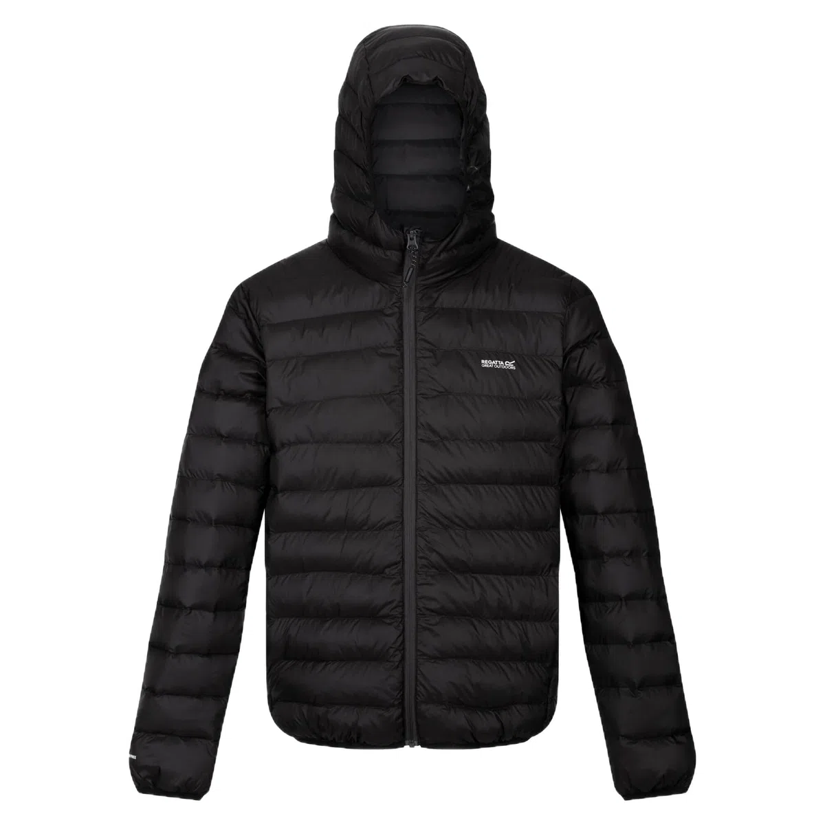 Regatta Regatta Mens Marizion Baffled Water Repellent Jacket Coat Chaqueta acolchada Hombre (Pack de 1)